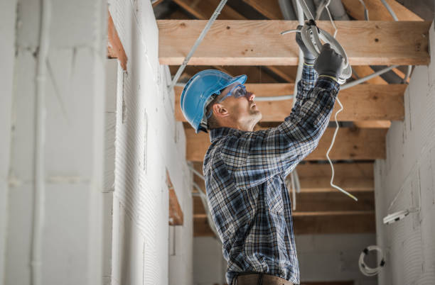 Best Electrical Upgrades for Homes  in Shawneeland, VA